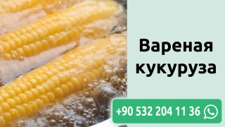 Вареная кукуруза